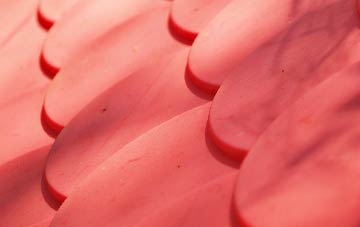 Earnshaw Bridge plastic roof costs